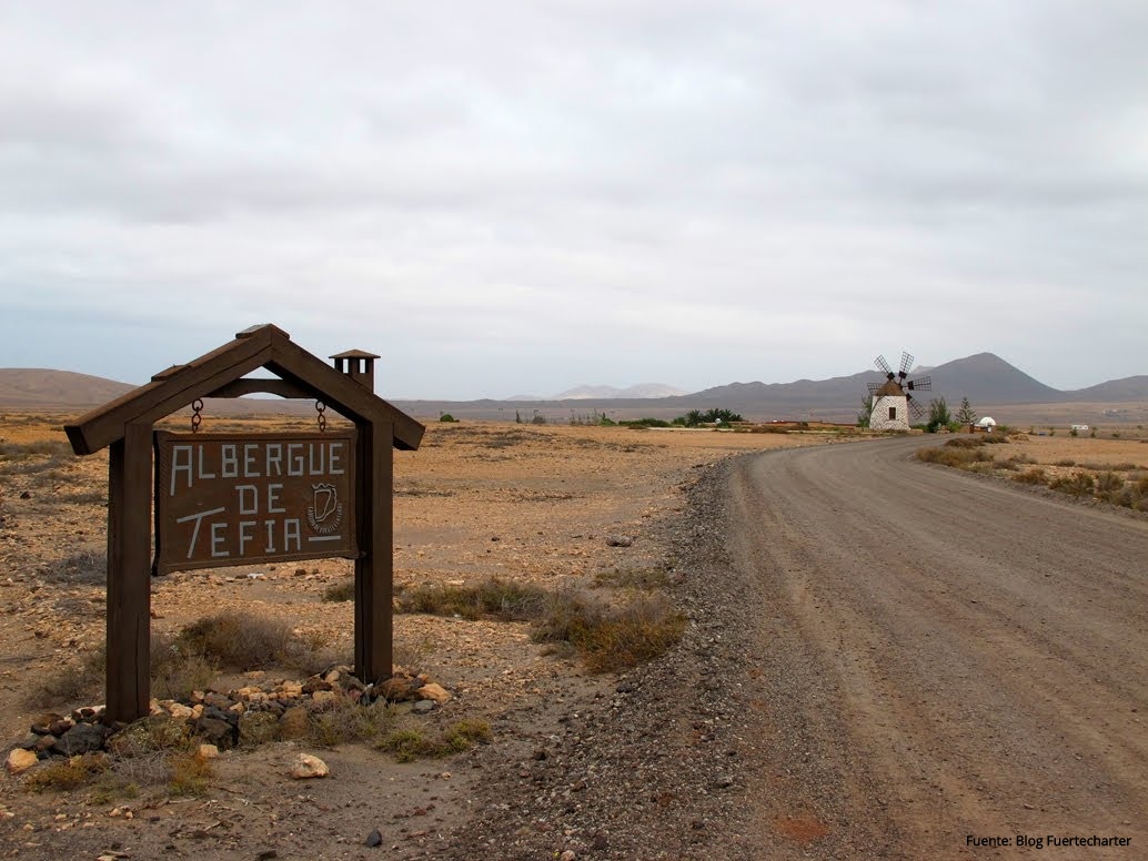 Tefía un campo de trabajos forzados para homosexuales