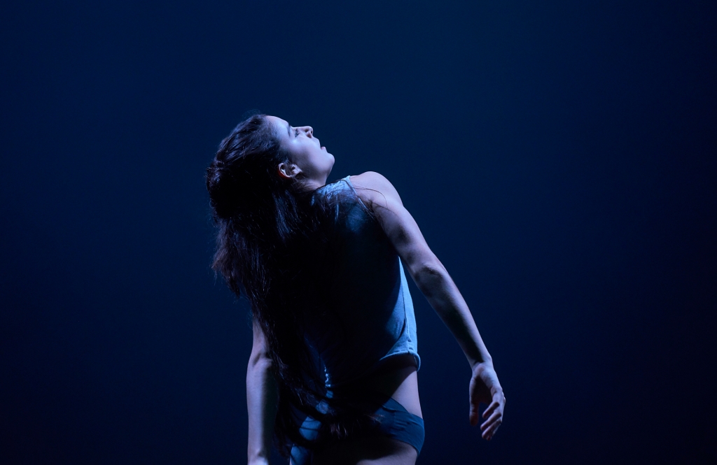 lava compañía de danza