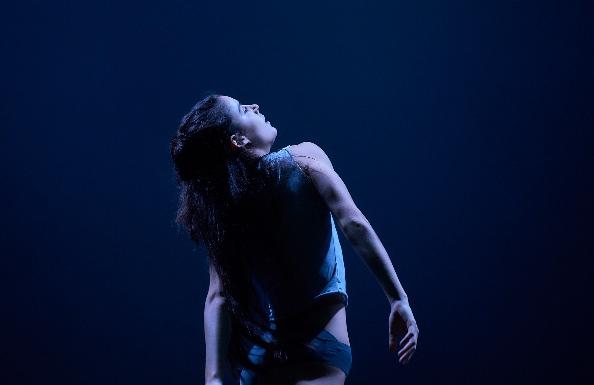lava compañía de danza