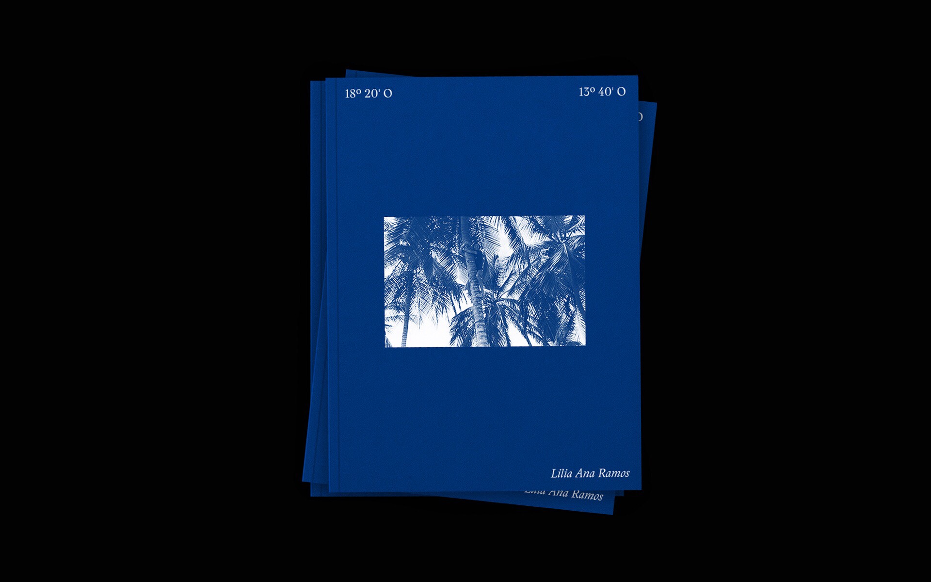 Atlanticidad Proyecto Fotografico