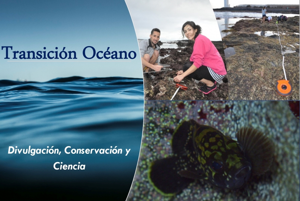 Transición Océano