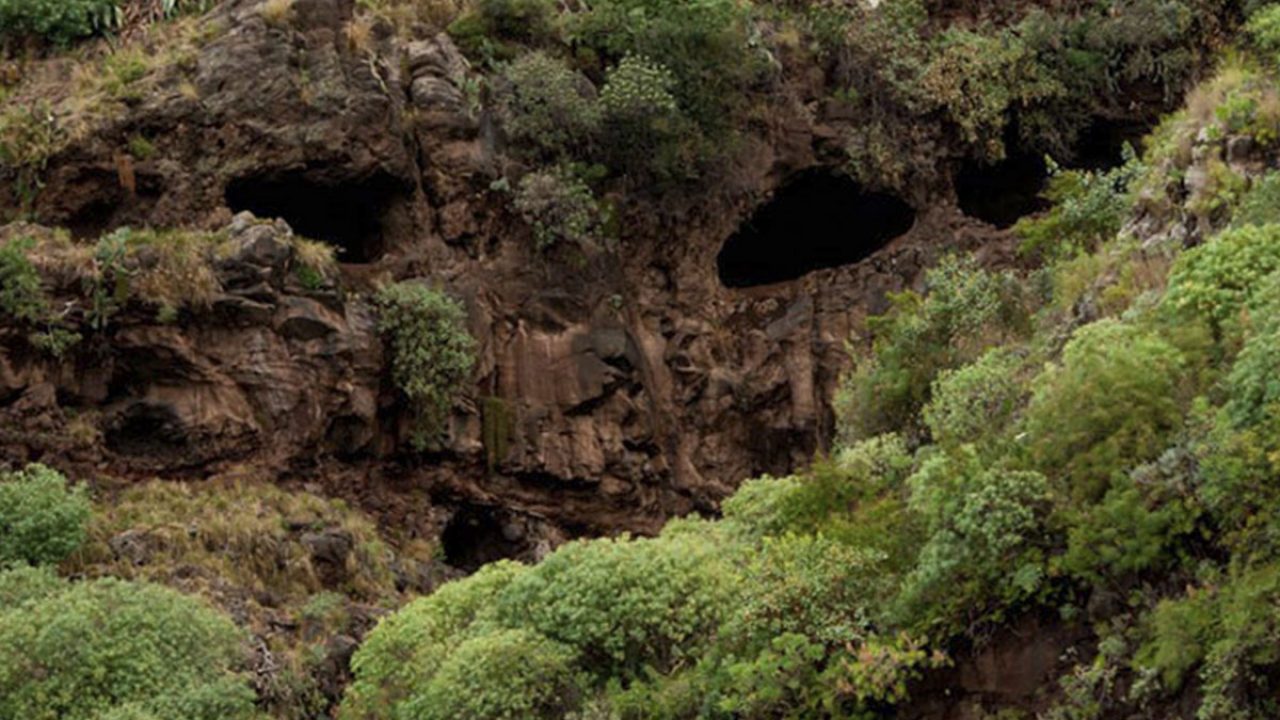 la cueva de bencomo tenerife